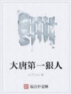 大唐第一狠人